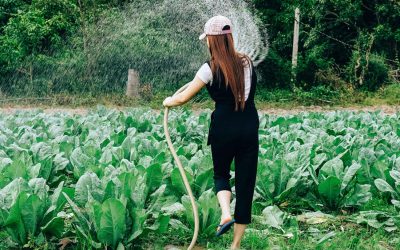 The New Approach to Garden Weeds and Why You Need it